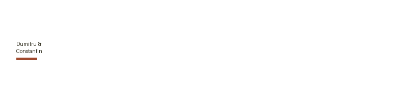 Dumitru & Constantin logo